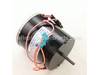 Motor – Part Number: 21817