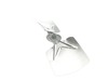 10373077-3-S-Ice-O-Matic-9131461-01-Fan Blade