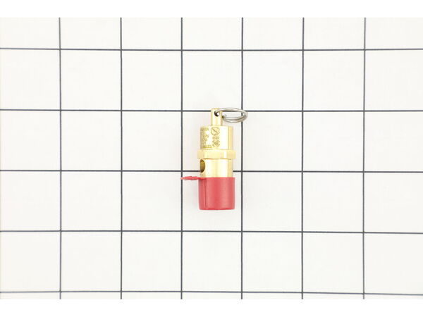 10374871-1-M-Jenny-141-1006-Valve-safety