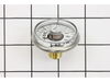 10374906-3-S-Jenny-142-1003-Gauge-psi