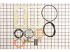 10375371-2-S-Jenny-630-216032001-Set-Gasket