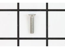 Screw – Part Number: MS-0059303