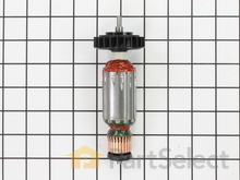 Armature Cpl. 120V – Part Number: 310011190