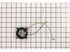 Brush Holder Module – Part Number: 316031200