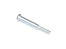 Tight-Fit Screw – Part Number: 341701490