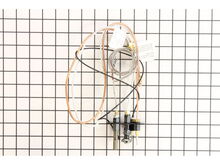 Natural Gas Pilot Assembly – Part Number: W010-1194