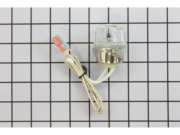 10426165-1-M-Napoleon-W387-0011-High Temperature Light Assembl