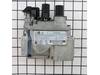 Natural Gas Valve – Part Number: W725-0025