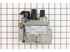 Valve - Ng – Part Number: W725-0030