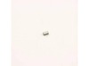Carbon Brush – Part Number: 482236240181