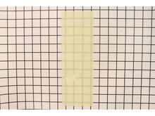 Cover-lamp – Part Number: SK1224000