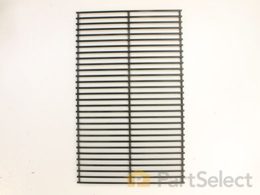 10435731-1-M-PGS Grill-A140100-Rock Grate