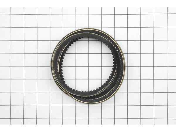 10460737-1-M-Powermatic-6290688-Belt