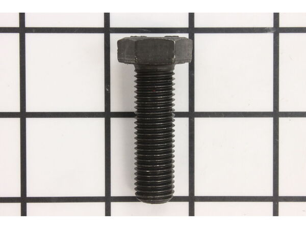 10467581-1-M-Powermatic-TS-1506031-Socket Head Cap Screw
