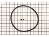 Sealing Ring Assembly – Part Number: 09902