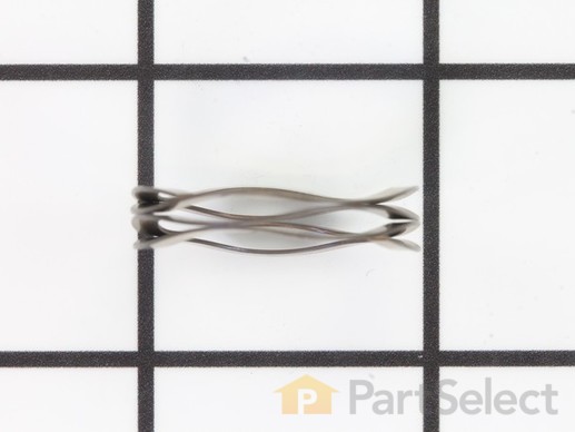 10487302-1-M-SprayTECH-0294379-Wave Spring