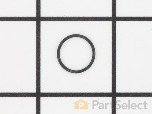 10488163-1-M-SprayTECH-9971301-O-Ring