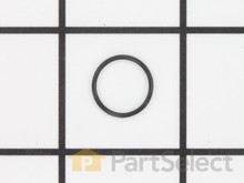 O-Ring – Part Number: 9971301