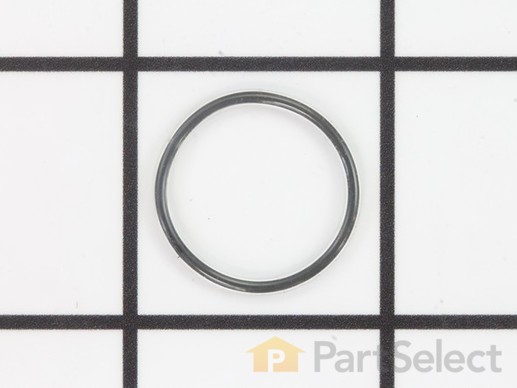 10488167-1-M-SprayTECH-9974188-O-Ring