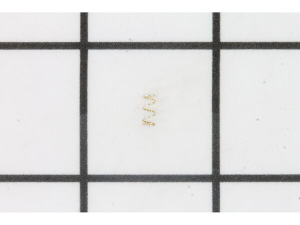 10488171-1-M-SprayTECH-9994269-Compression Spring
