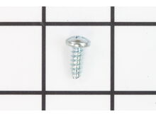 Screw – Part Number: 700-069