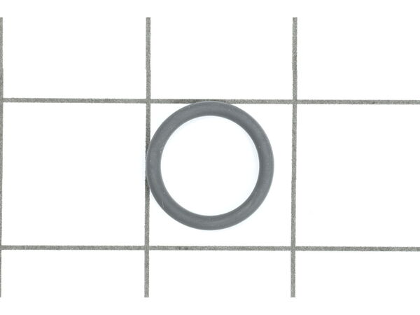 10505025-1-M-Wagner-0275584-O-Ring, Air Control Valve
