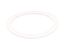 Washer – Part Number: 009724