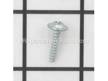 Screw w/ Washer – Part Number: 024595