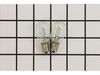 Bulb – Part Number: 029707