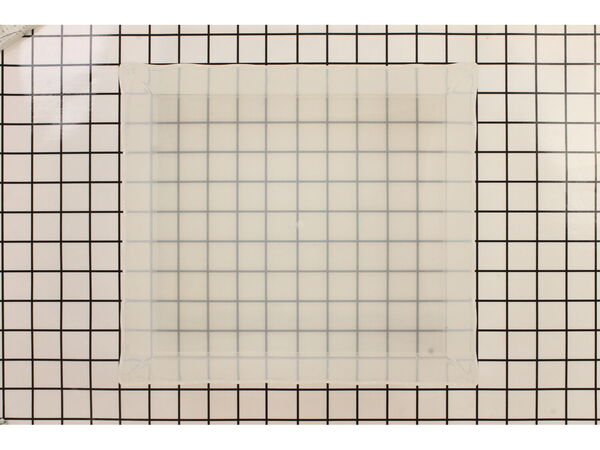 10507359-1-M-Waring-029708-Tray