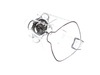 10509203-3-S-Waring-503348-Jar With Blending Assembly
