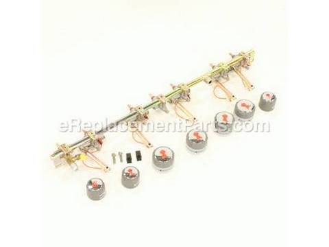 10511893-1-M-Weber-79165-Manifold Assembly