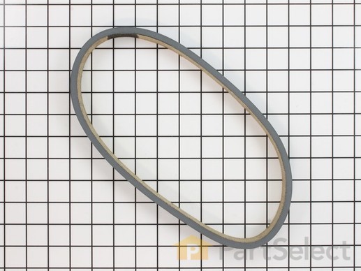 10517526-1-M-Yeats Dolly-16-5-Glide Belts