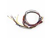 Harness,wiring ,main – Part Number: 318224920
