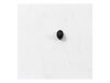 11699801-2-S-Whirlpool-W10777162-Range Screw