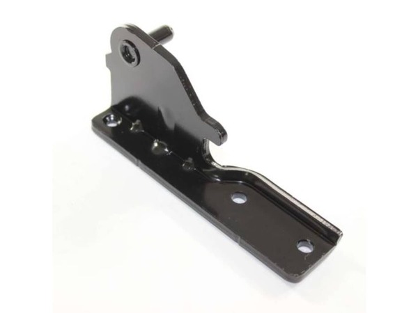 11708404-1-M-LG-AEH73856224-HINGE ASSEMBLY,CENTER