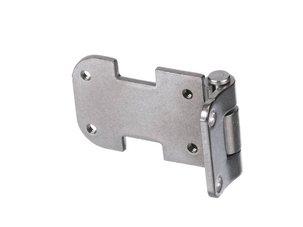 11708429-1-M-LG-AEH74256601-HINGE ASSEMBLY