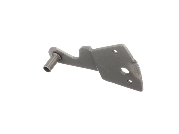 11725343-1-M-GE-WR13X24863- HINGE TOP & PIN Assembly