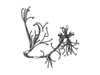 HARNS-WIRE – Part Number: W10752248