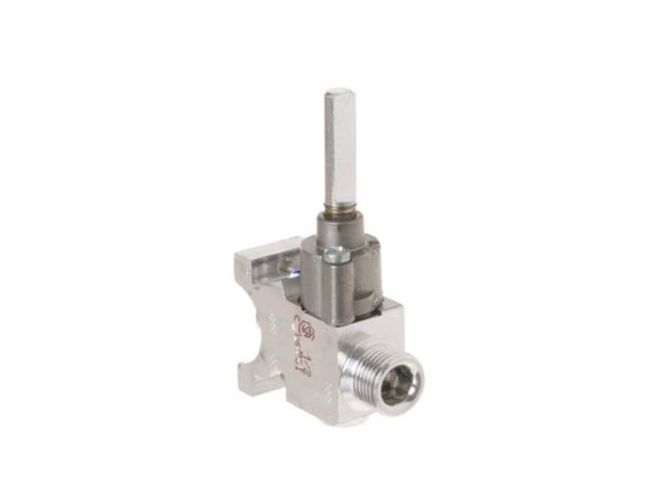 11726678-1-M-GE-WB21X22069-Range Valve Kit