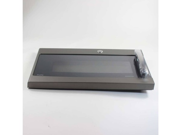 11729168-1-M-GE-WB56X25679- DOOR Assembly