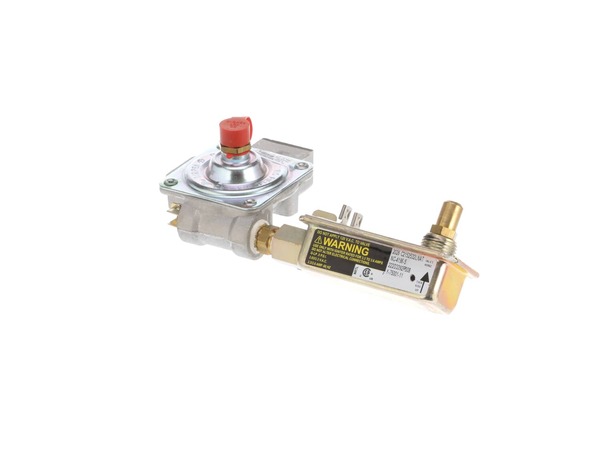 11736321-1-M-GE-WB21X26605-Control Valve Assembly
