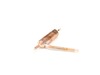 11737243-2-S-GE-WR86X22669-DRYER