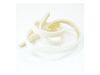 Gasket, Fan Scroll – Part Number: WP2155789