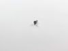 11740549-3-S-Whirlpool-WP25-7893-Screw