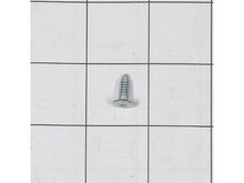 Hinge Screw – Part Number: WP33001787