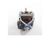 11741125-2-S-Whirlpool-WP33002795-Drive Motor - 60Hz 120V