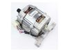 Drive Motor – Part Number: WP34001437