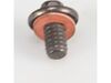 11744349-2-S-Whirlpool-WP74009857-Screw