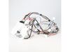 11746186-3-S-Whirlpool-WP8534931-Main Wiring Harness